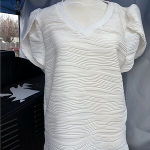 Women's Cream Textured V-Neck Puff Sleeve Top